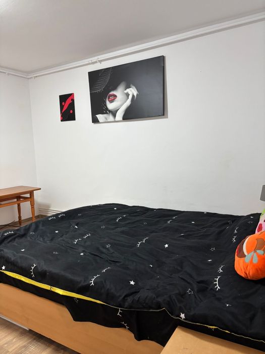 Proprietar inchiriez garsoniera Take Ionescu