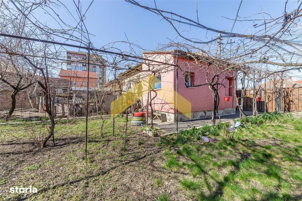 Spatiu comercial de vanzare in Micalaca, Calea Radnei