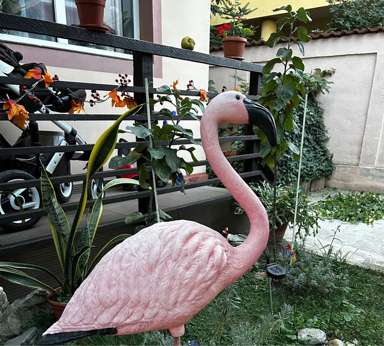 Ornamente flamingo