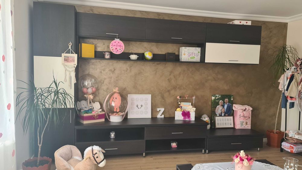 Mobila living/ camera oaspeți