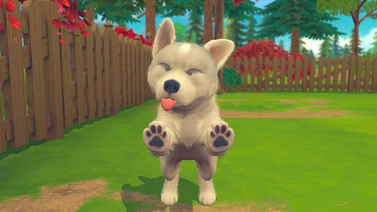 Игра за Nintendo Switch – „My Universe My Baby Chiens & Chats„