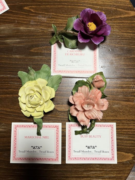 Колекция от 12 порцеланови рози