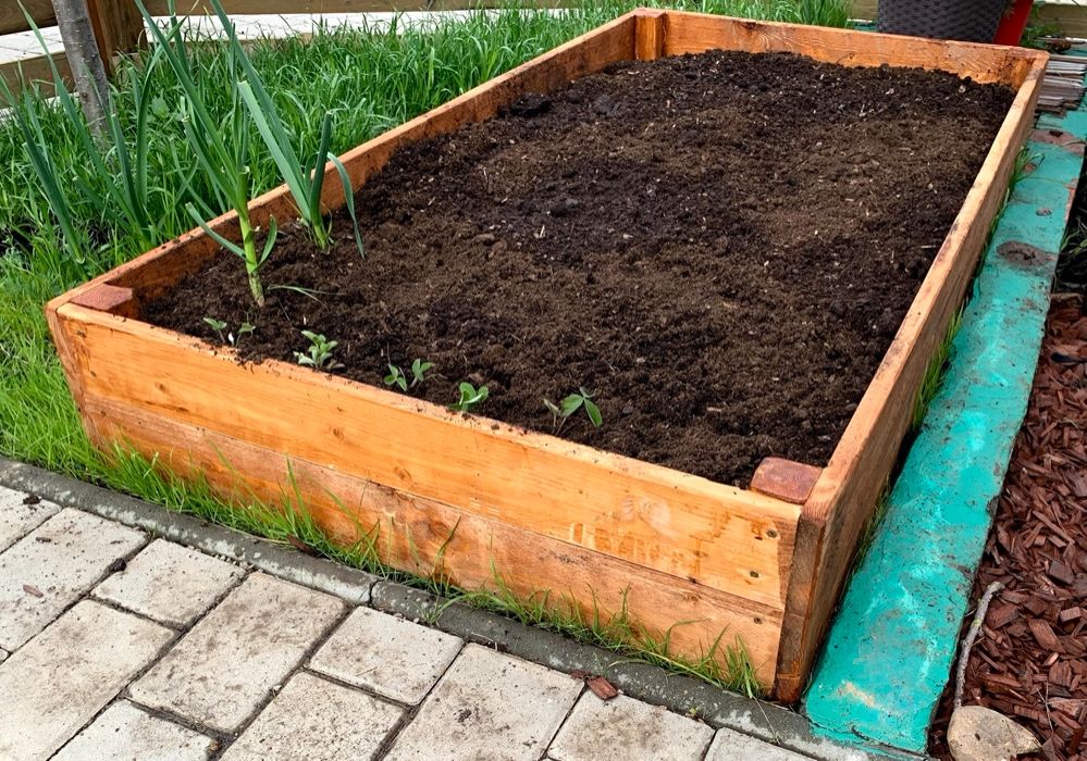 Lada de legume, straturi, gradinarit eco, mulcire (raised bed)