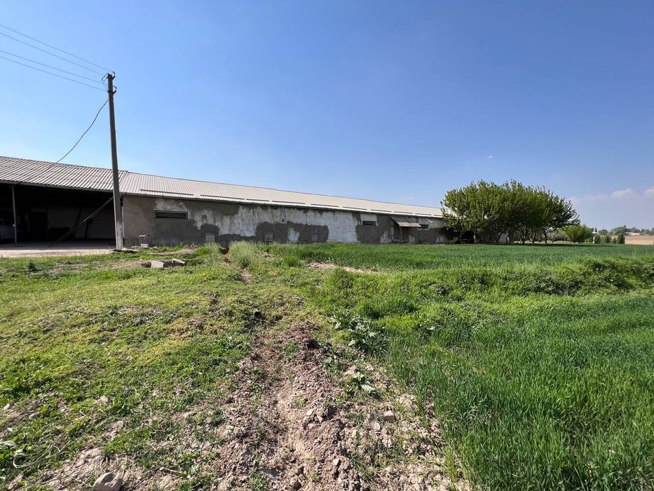 Срочна нотурар 150 сотих жойимиза сотилади