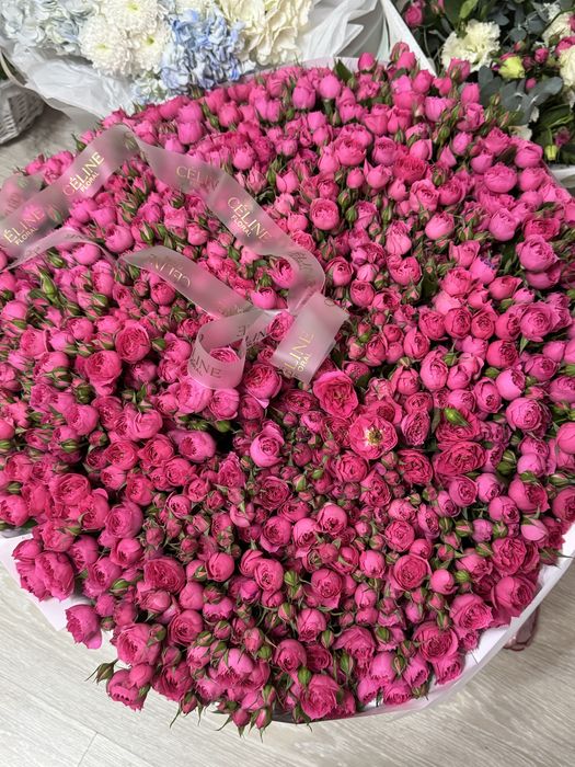 Спрей розя большой