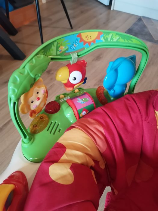 Бънджи Fisher Price Rainforest