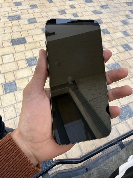 13 pro max 256 green