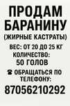 Продам баранину