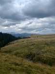 Teren Babele- Piatra Arsa intravilan, A frame