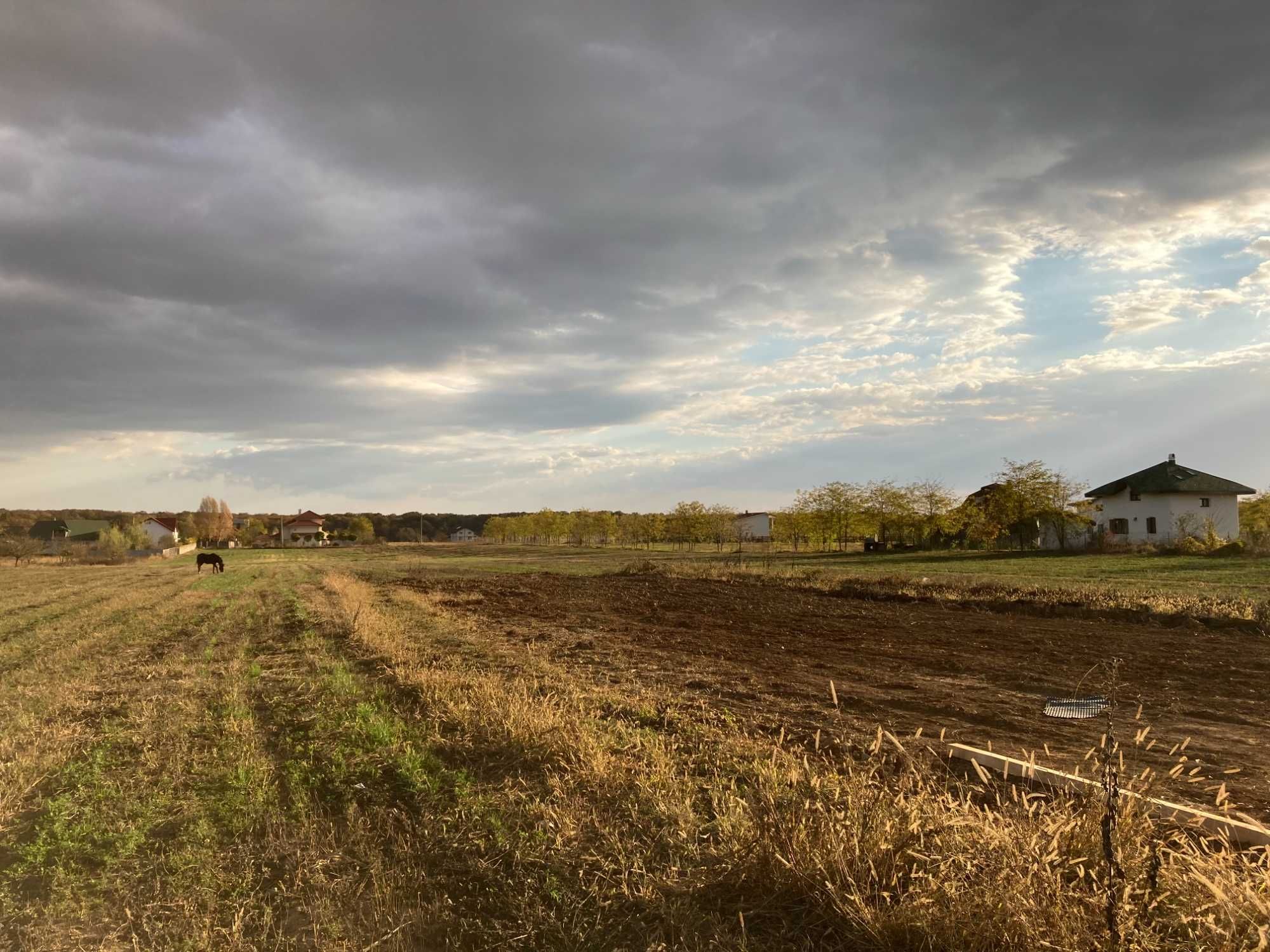 Loturi de gradina in localitatea Piscu (Ilfov, DN1)