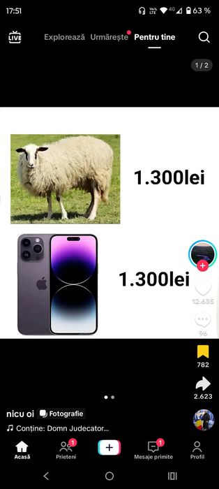 Vând 3 oi și 1 berbec,carabașă de Teleorman