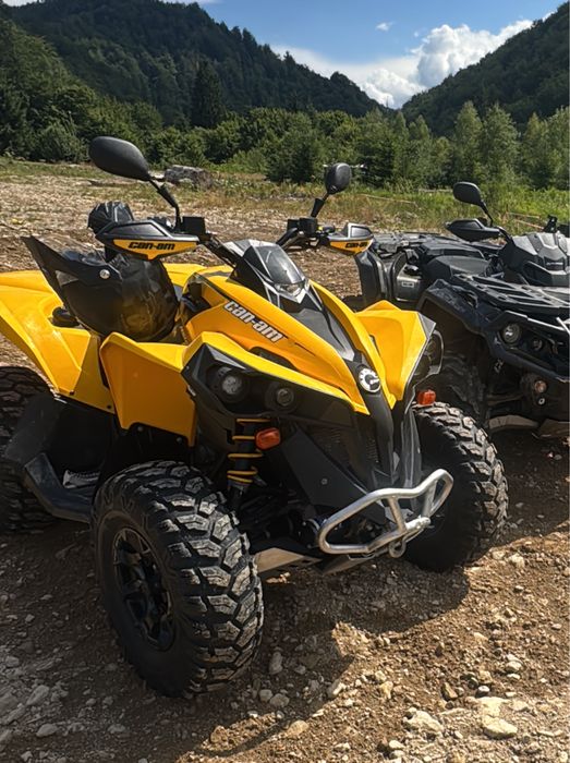 Can am renegade 500