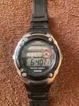 Casio waveceptor .