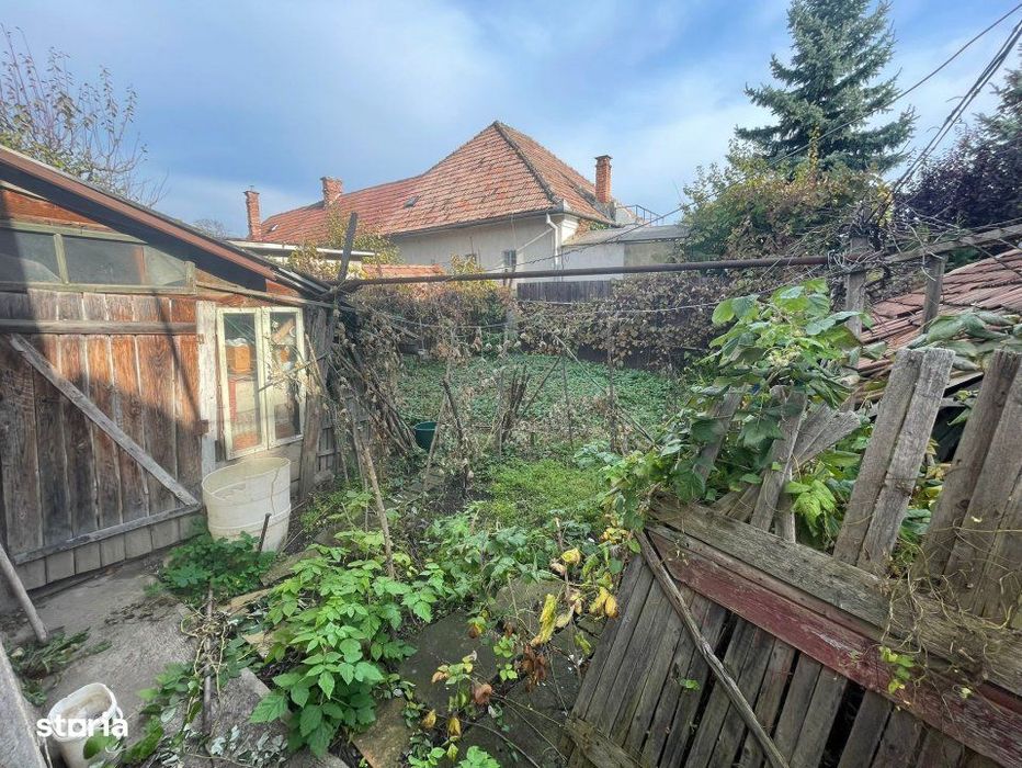 Casa individuala Andrei Muresanu