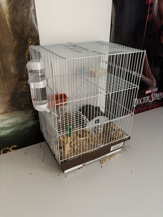 Vând cușcă hamster suceava