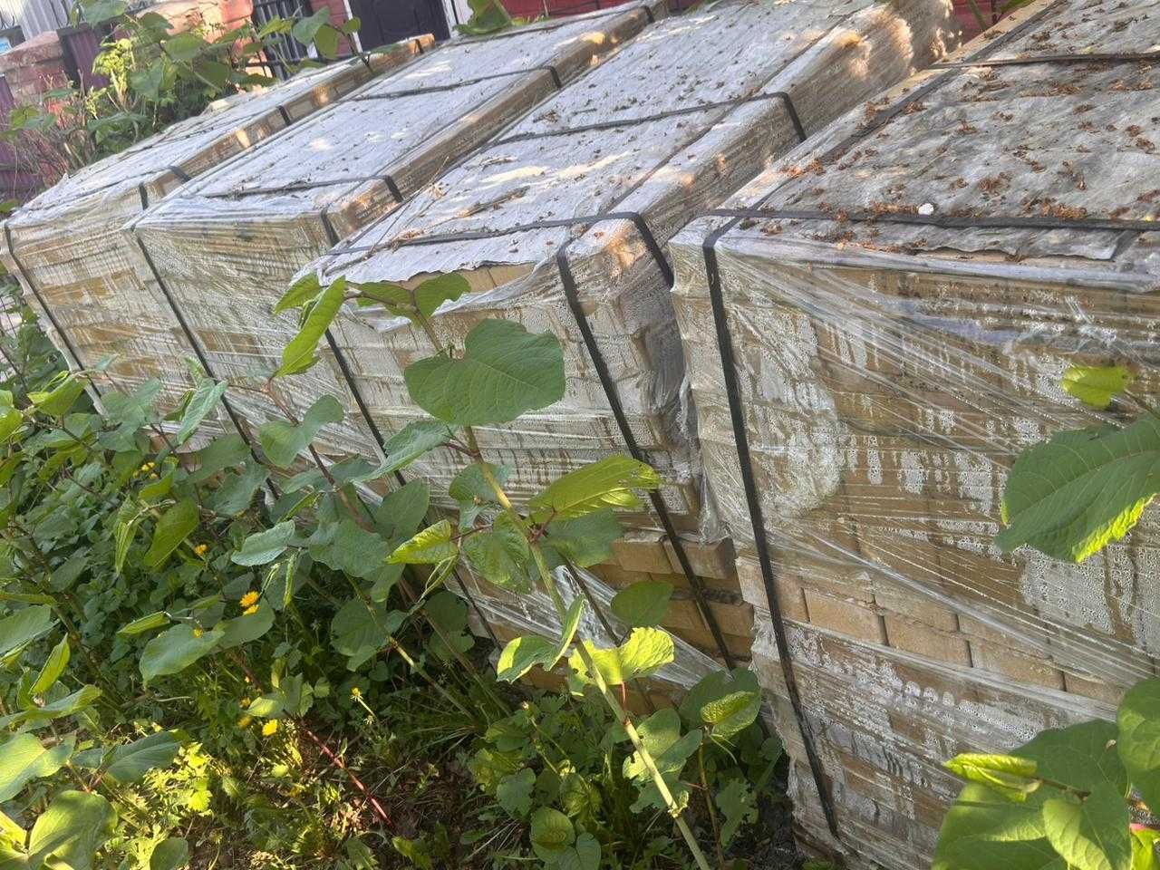Брусчатка кирпич желтый