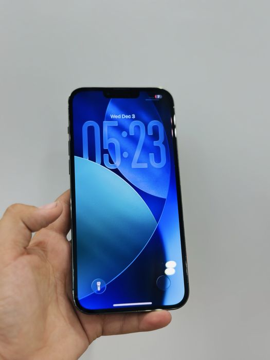 Iphone 13 pro max ideal