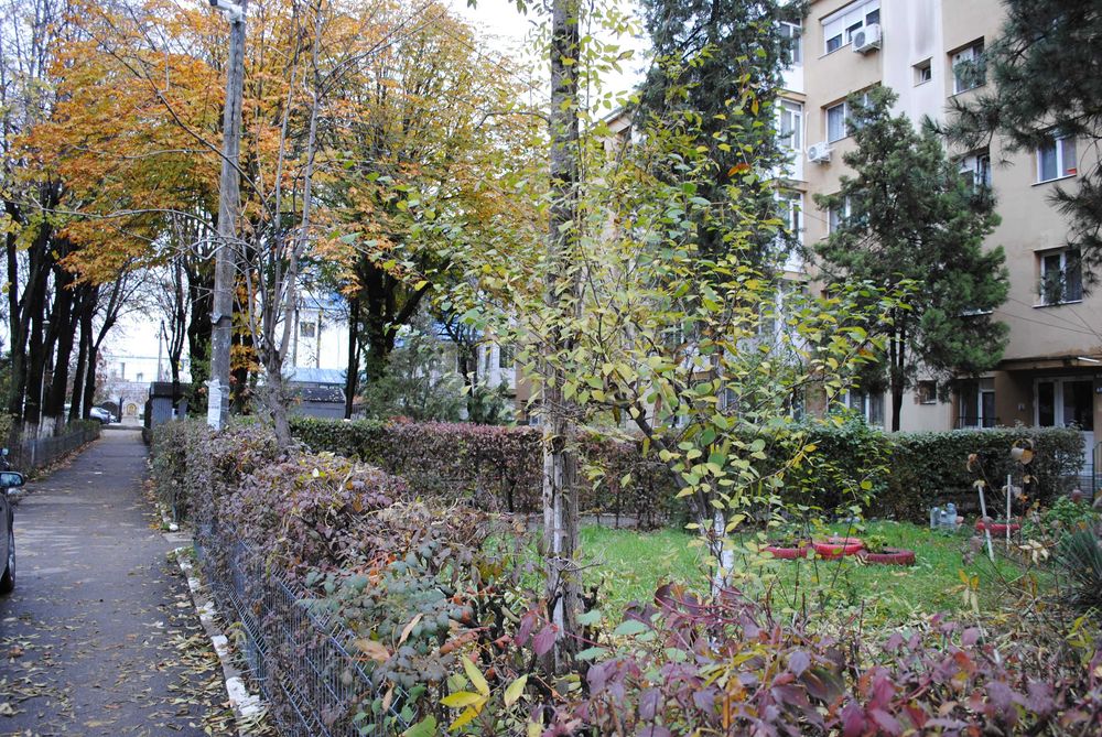 Apartament 2 Camere, Bloc cu 4 Etaje ZONA KAUFLAND VEST,Statie Bloc 10