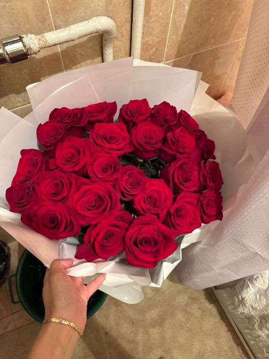 Вчерашний розы,метровые,бордовые