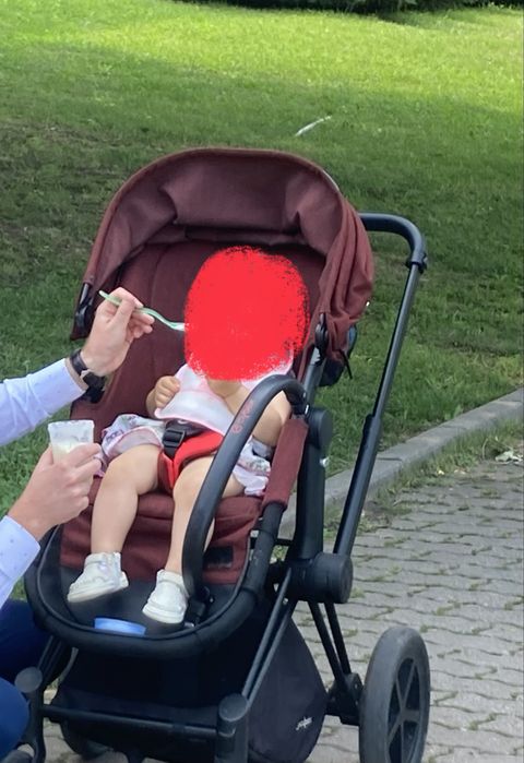 Комплект Cybex шаси, кош 2в1, органайзер, комарник, адаптери, чаша