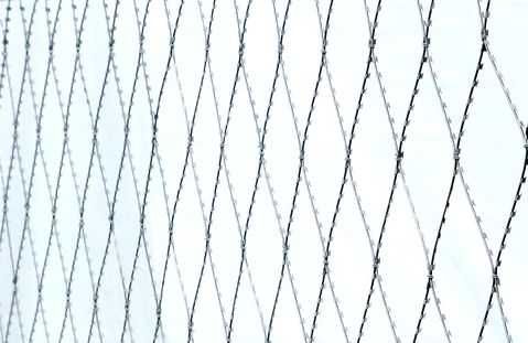 Колючий забор/ Плоское колючее ленточное заграждение (ПКЛЗ) Егоза