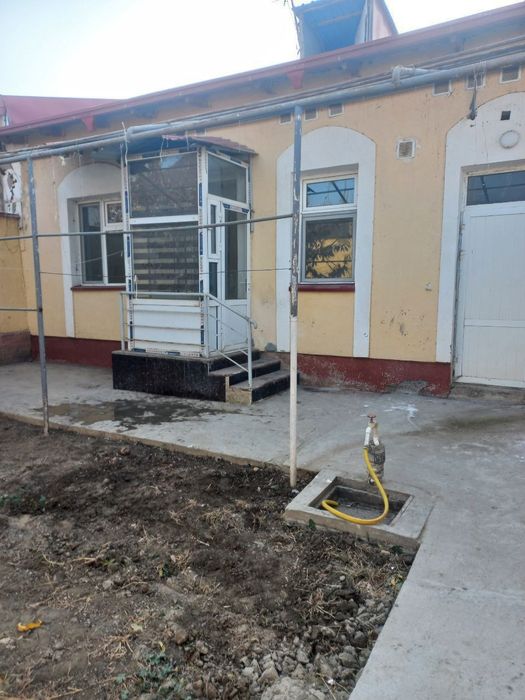 Kotej sotiladi savxo'z yo'lni yuzida