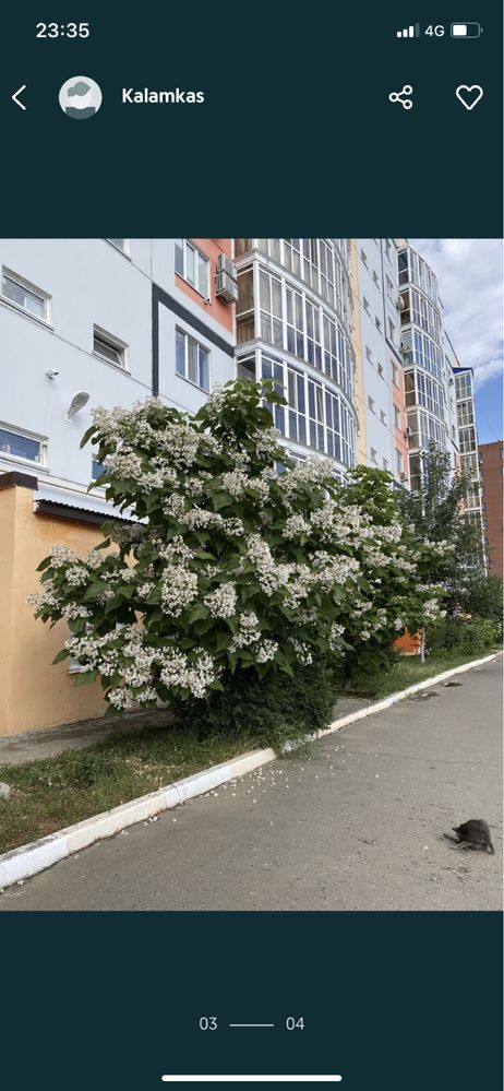 Обменяю 1 ком в уральске на  Аксай