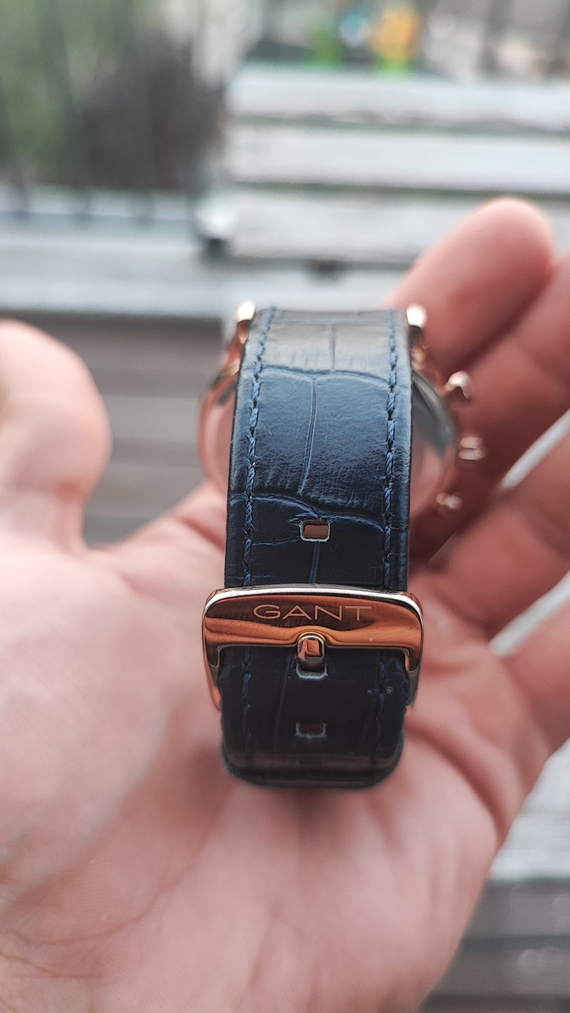 Gant Ridgefield GT005002