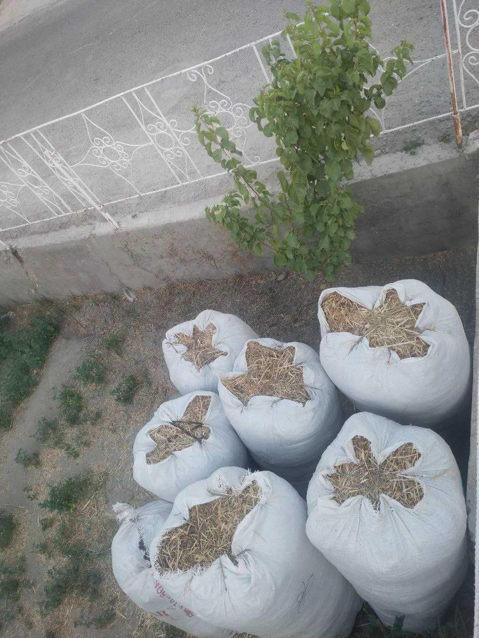 Samon sotiladi...