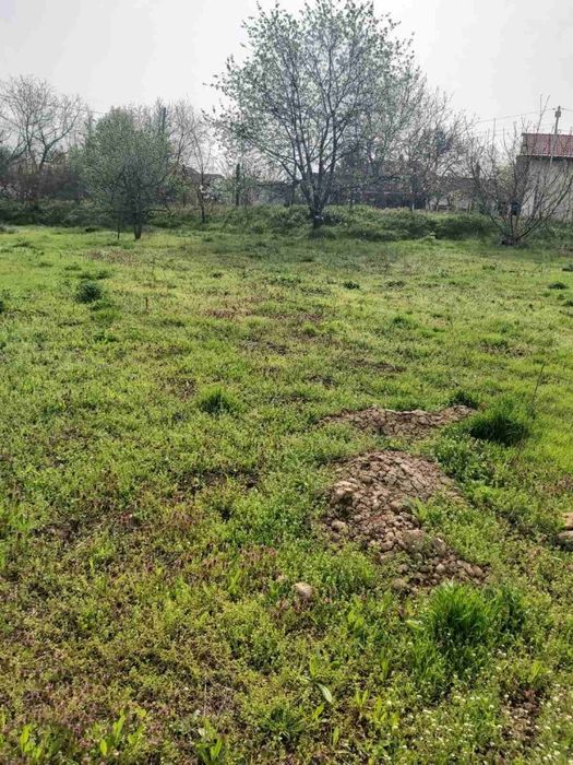 Парцел в Плевен, област-с.Коиловци площ 732 цена 17000