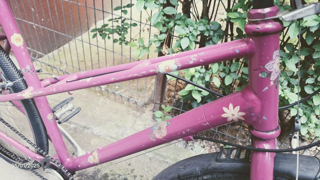 Bicicleta ultra usoara custom pt dama