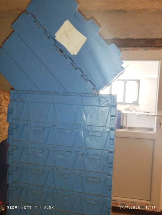 Cuti cu capac ca noi