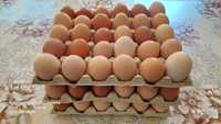 Vând oua de găină proaspete de țara 45 lei cofrajul de 30 bucati !!!