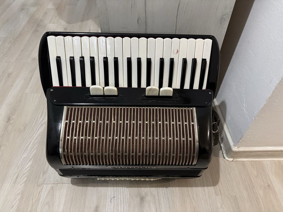 Vand acordeon Cantulia cu 72 de basi