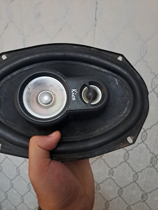 Kalonka orginal sotiladi