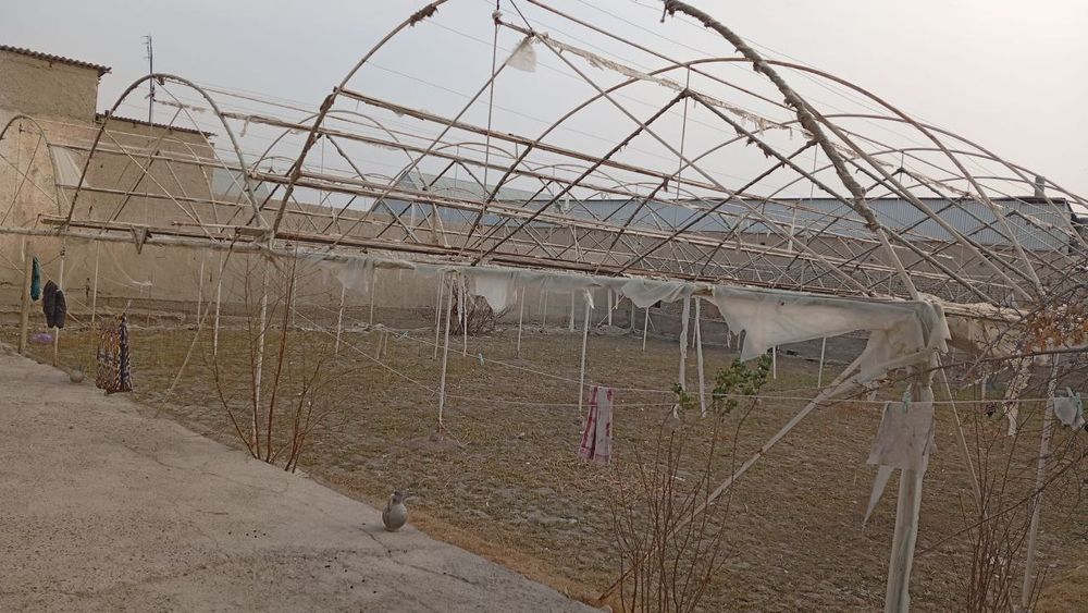 Parnik Teplitsa srochniga sotiladi arzon