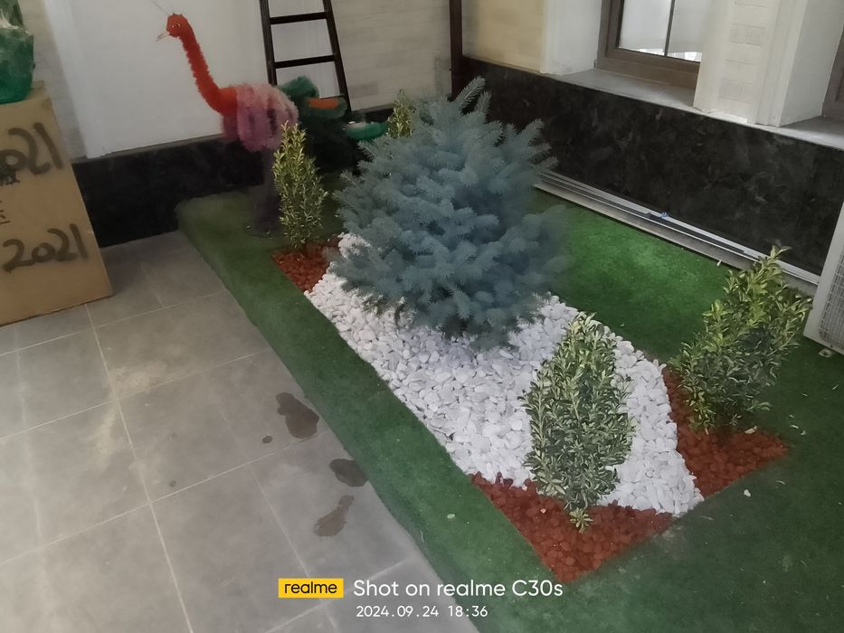 Gazon va landshaft xizmatlari