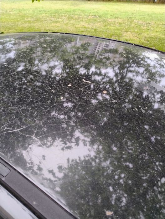 Ситроен Ц4 бензин