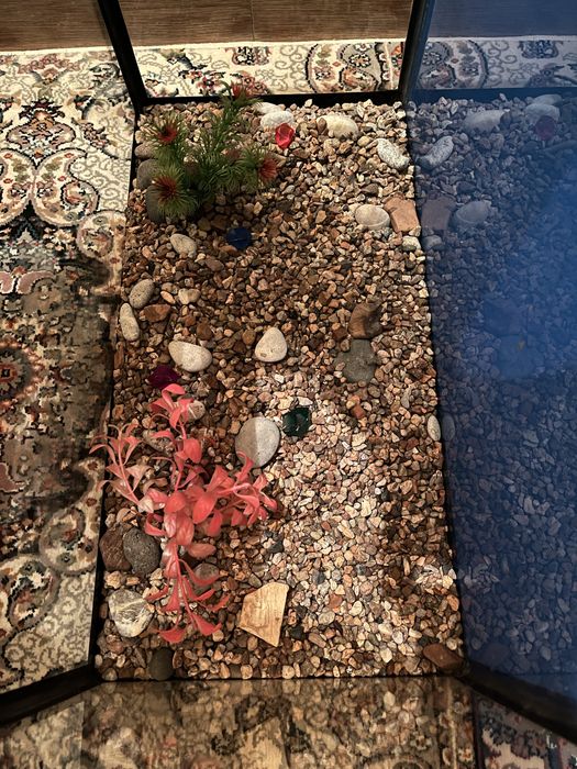 Baliqlar uchun Akvarium 50 L | Аквариум для рыб (Рыбный Аквариум)