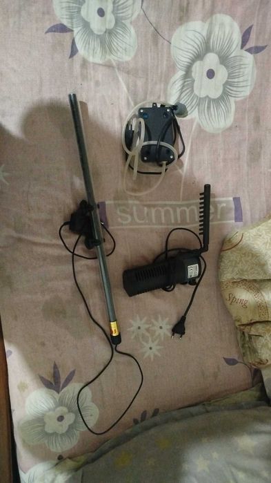 Аквариум сотаман))