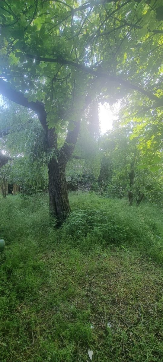 Casa și teren pentru vânzare 50000 euro /250.000 lei