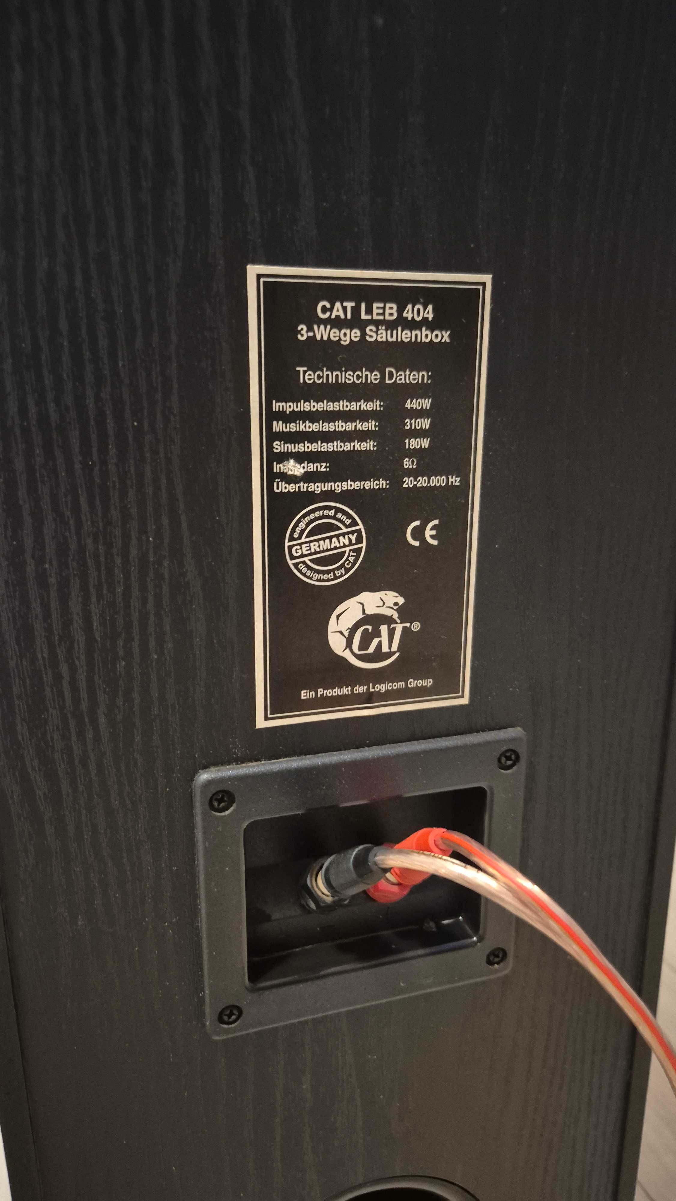 Boxe Cat Leb - 404 Germany