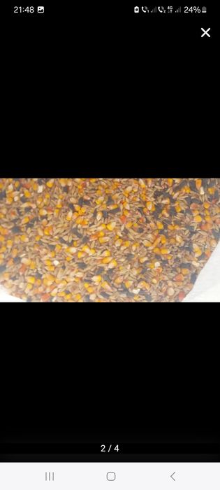 Vănd ouă bio de găină cu si fără coresterol