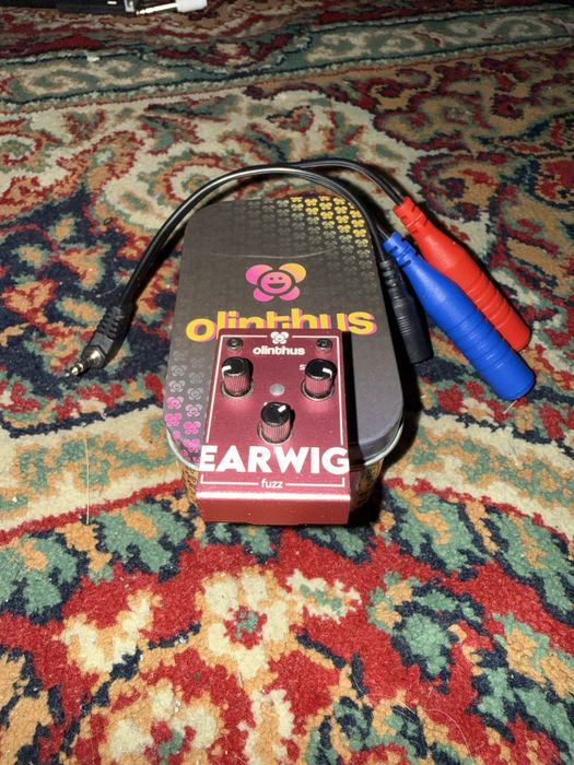 Olintus Earwig fuzz
