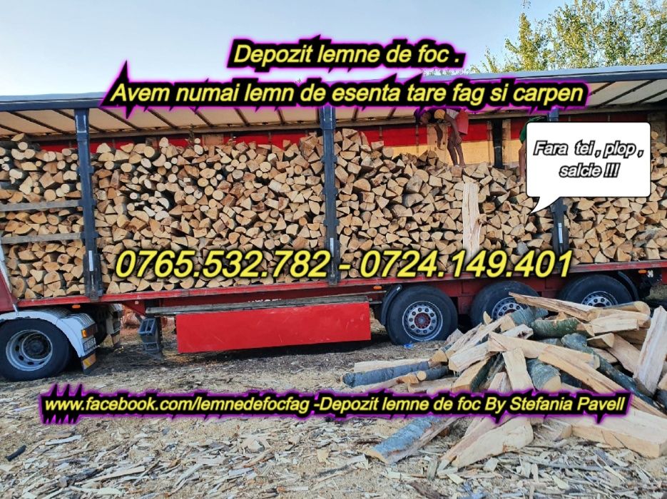 Lemne de foc fag si carpen - Depozit lemne de foc