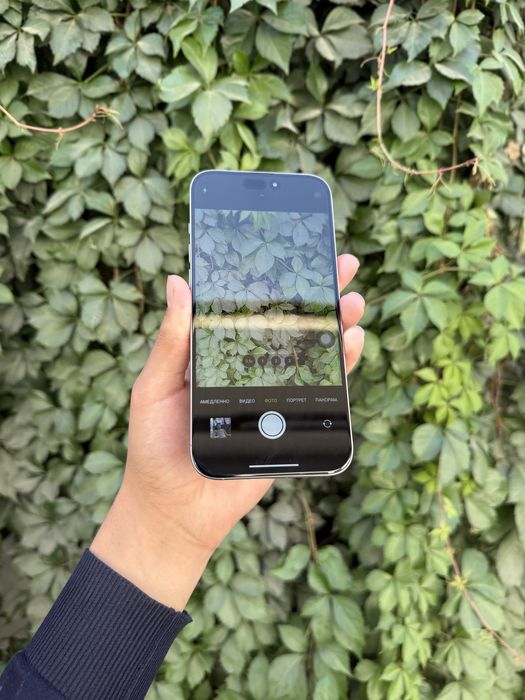iPhone 16 Pro Max Ideal