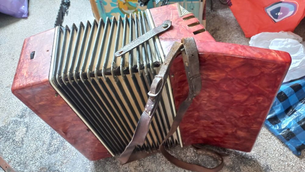 Acordeon romanesc Timis