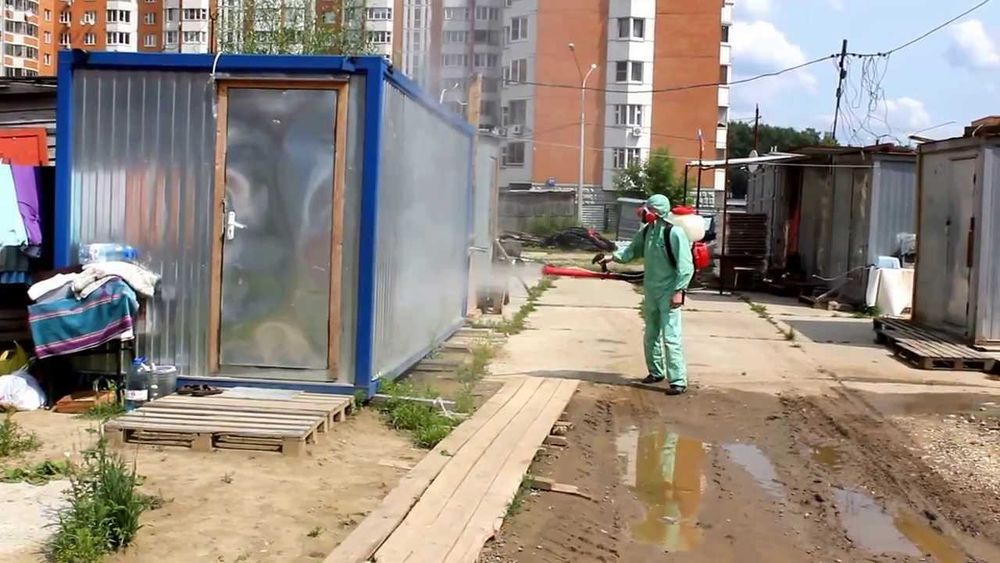 dezinfeksiya dezenfeksiya бурга клапа кана илон чивин пашша