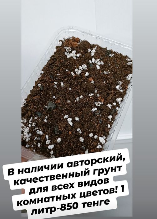 Авторский, качественный грунт:850 тенге
