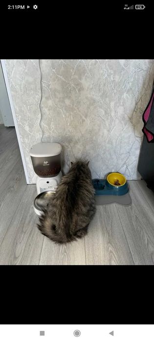 Хранилка за котки с камера